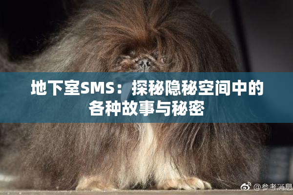 地下室SMS：探秘隐秘空间中的各种故事与秘密