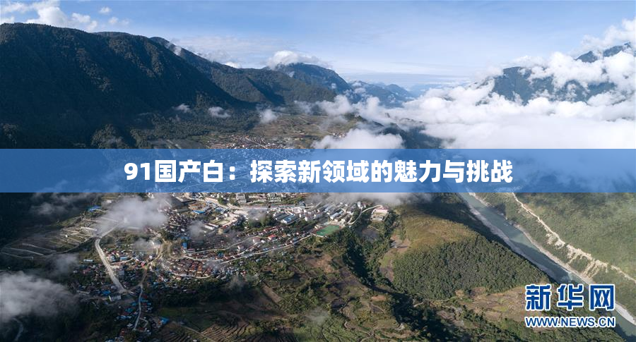 91国产白：探索新领域的魅力与挑战