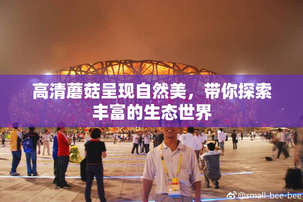高清蘑菇呈现自然美，带你探索丰富的生态世界