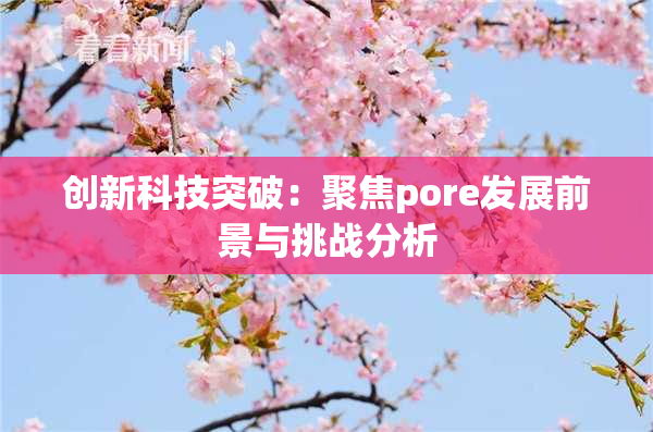 创新科技突破：聚焦pore发展前景与挑战分析