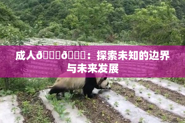 成人🍆🍑：探索未知的边界与未来发展