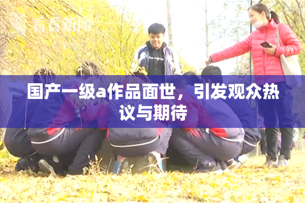 国产一级a作品面世，引发观众热议与期待
