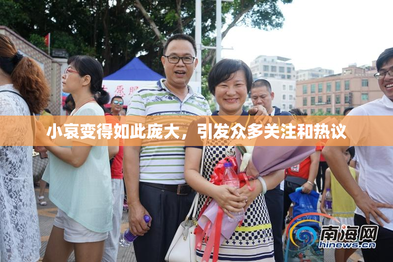 小哀变得如此庞大，引发众多关注和热议