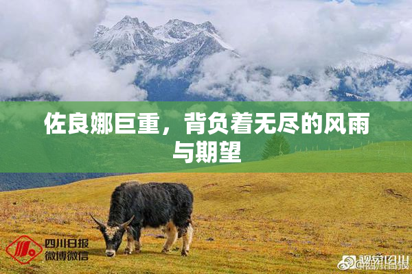 佐良娜巨重，背负着无尽的风雨与期望
