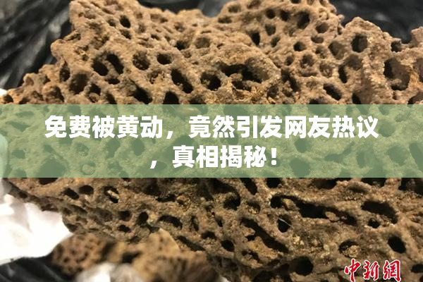 免费被黄动，竟然引发网友热议，真相揭秘！