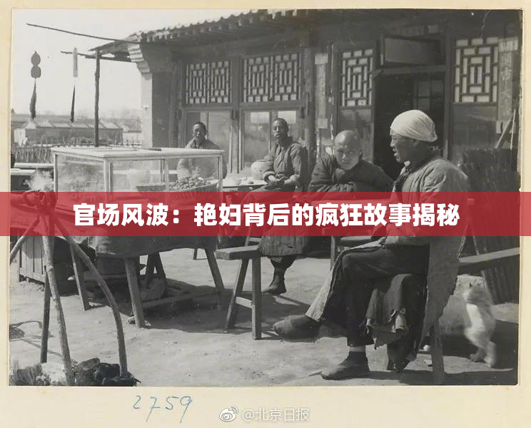 官场风波：艳妇背后的疯狂故事揭秘