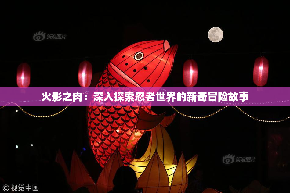 火影之肉：深入探索忍者世界的新奇冒险故事