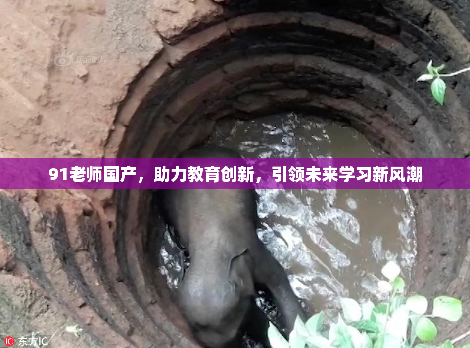 91老师国产，助力教育创新，引领未来学习新风潮
