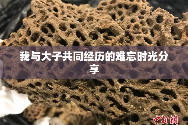 我与大子共同经历的难忘时光分享