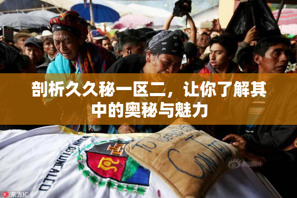 剖析久久秘一区二，让你了解其中的奥秘与魅力