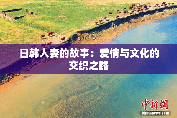 日韩人妻的故事：爱情与文化的交织之路