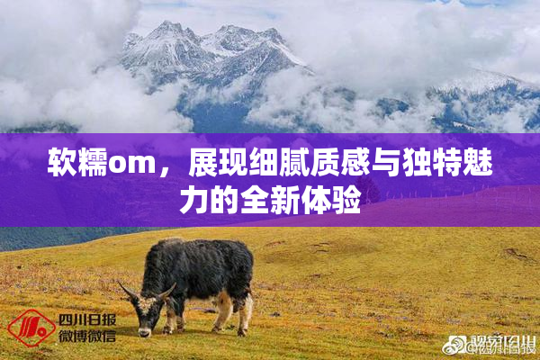 软糯om，展现细腻质感与独特魅力的全新体验