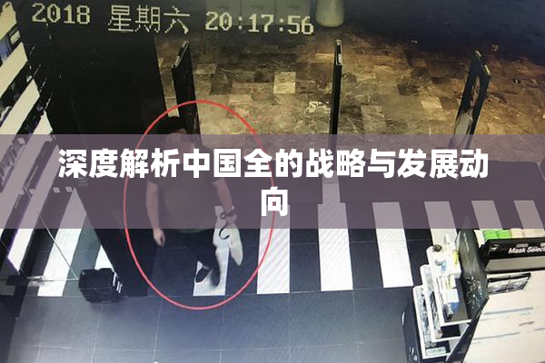 深度解析中国全的战略与发展动向