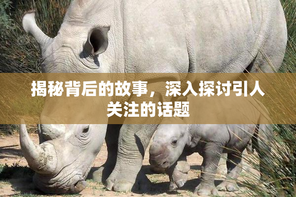 揭秘背后的故事，深入探讨引人关注的话题