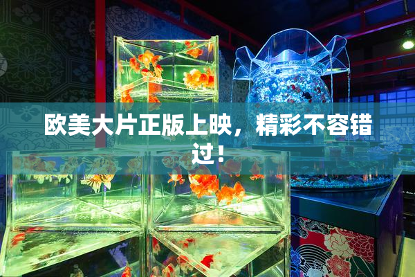 欧美大片正版上映，精彩不容错过！