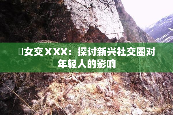 乣女交ⅩXX：探讨新兴社交圈对年轻人的影响
