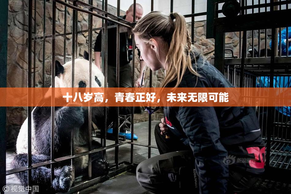 十八岁高，青春正好，未来无限可能