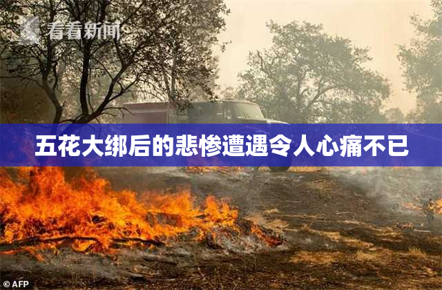 五花大绑后的悲惨遭遇令人心痛不已