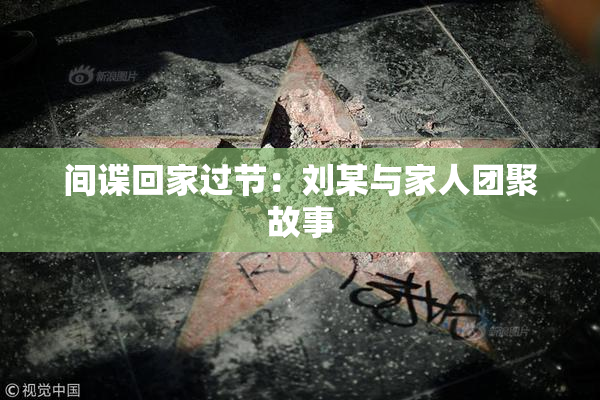 间谍回家过节：刘某与家人团聚故事