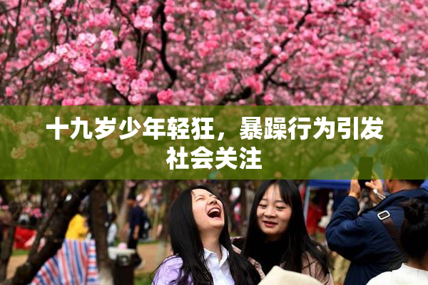 十九岁少年轻狂，暴躁行为引发社会关注