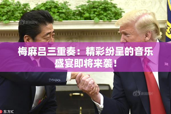 梅麻吕三重奏：精彩纷呈的音乐盛宴即将来袭！
