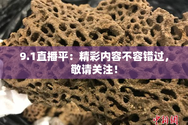 9.1直播平：精彩内容不容错过，敬请关注！