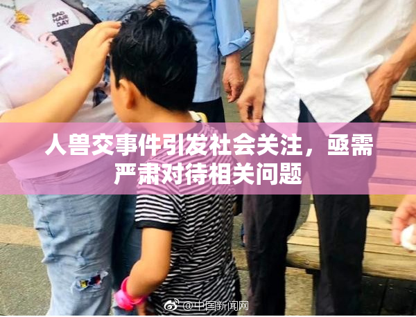 人兽交事件引发社会关注，亟需严肃对待相关问题