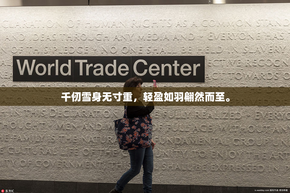 千仞雪身无寸重，轻盈如羽翩然而至。