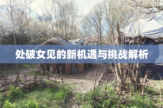 处破女见的新机遇与挑战解析