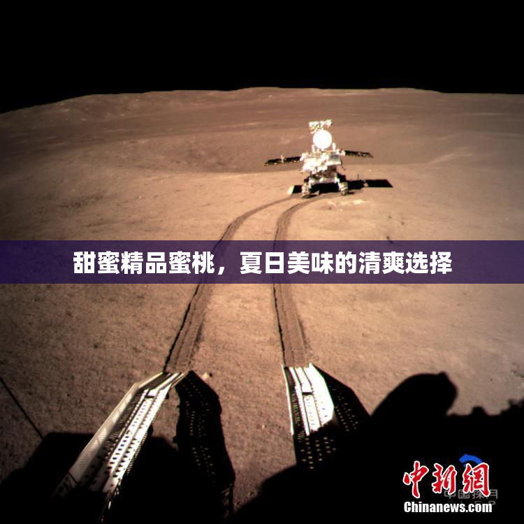 甜蜜精品蜜桃，夏日美味的清爽选择