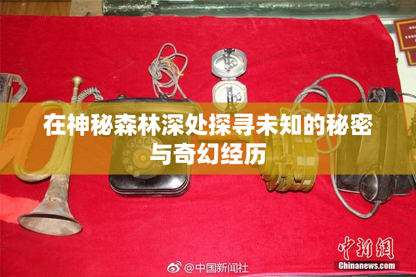 在神秘森林深处探寻未知的秘密与奇幻经历