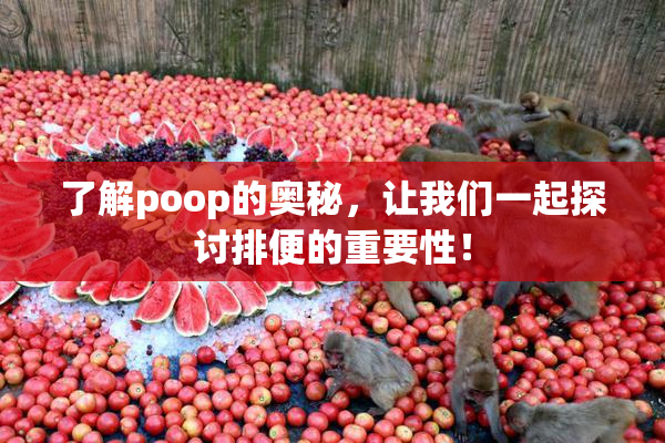 了解poop的奥秘，让我们一起探讨排便的重要性！