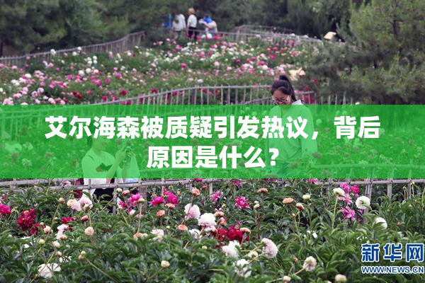 艾尔海森被质疑引发热议，背后原因是什么？