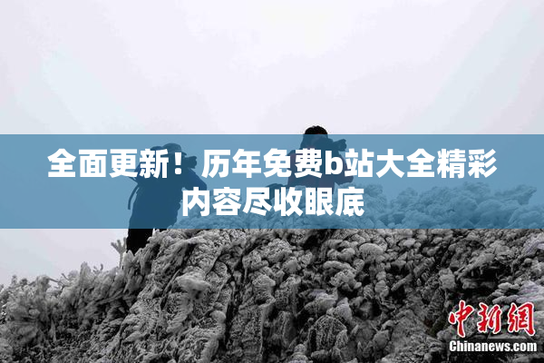 全面更新！历年免费b站大全精彩内容尽收眼底