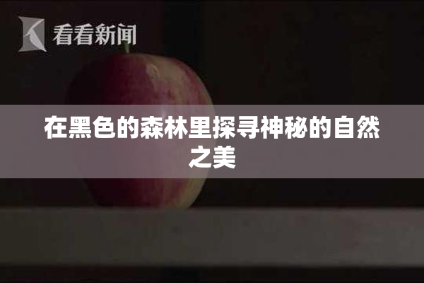 在黑色的森林里探寻神秘的自然之美