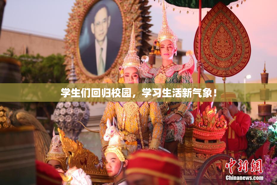 学生们回归校园，学习生活新气象！