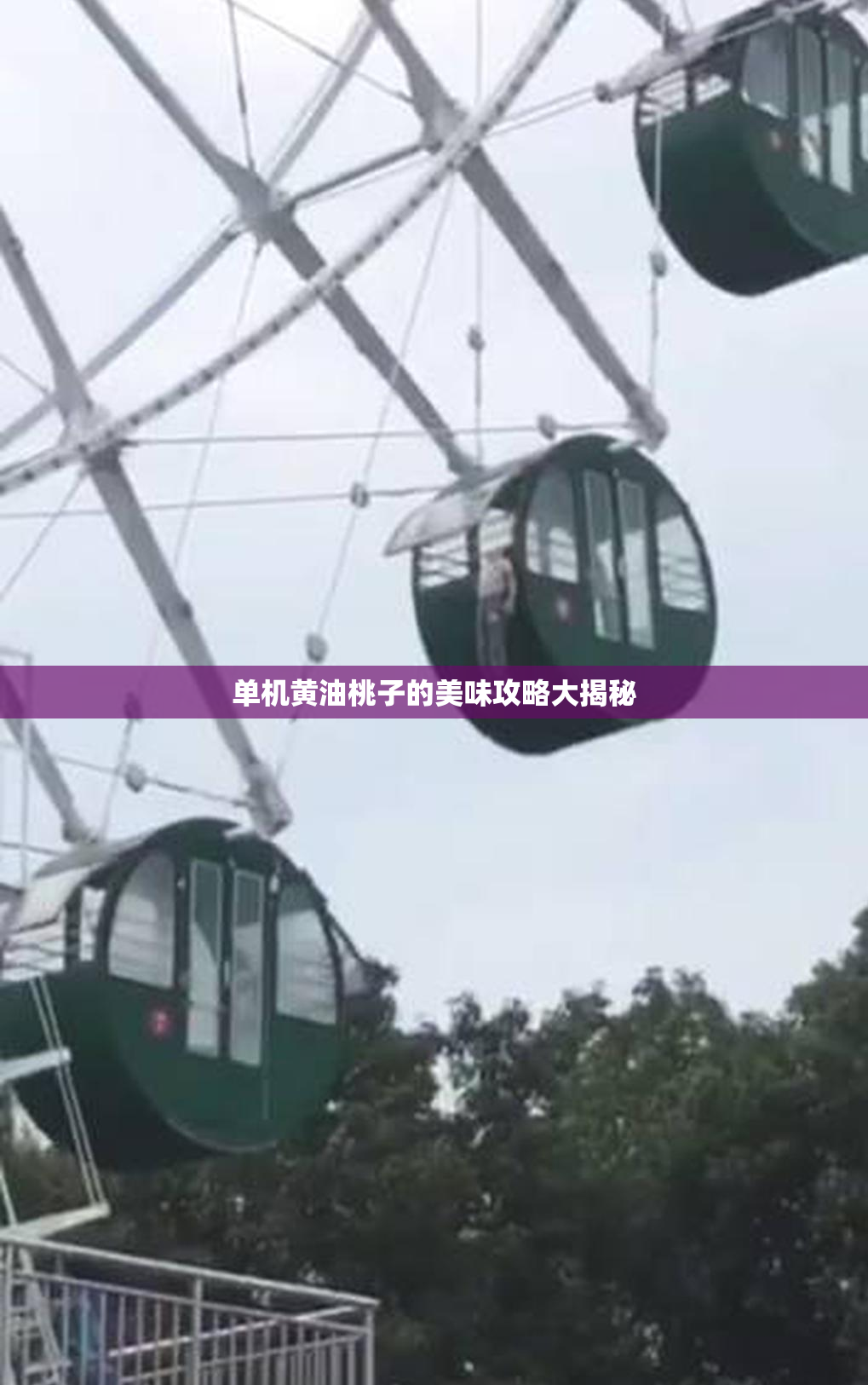 单机黄油桃子的美味攻略大揭秘