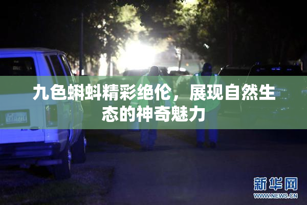 九色蝌蚪精彩绝伦，展现自然生态的神奇魅力