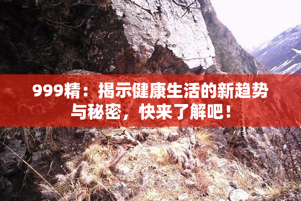 999精：揭示健康生活的新趋势与秘密，快来了解吧！
