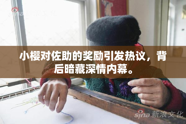 小樱对佐助的奖励引发热议，背后暗藏深情内幕。