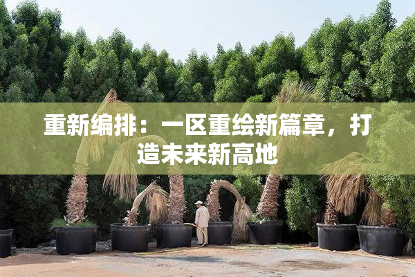 重新编排：一区重绘新篇章，打造未来新高地