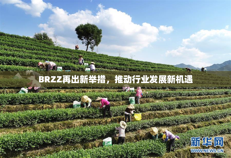 BRZZ再出新举措，推动行业发展新机遇