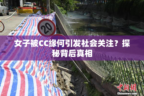 女子被CC缘何引发社会关注？探秘背后真相