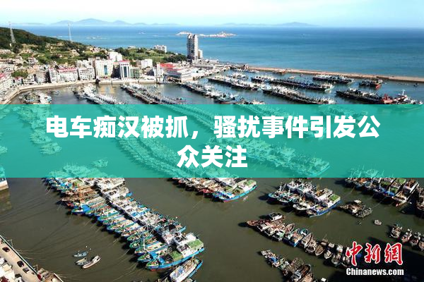 电车痴汉被抓，骚扰事件引发公众关注