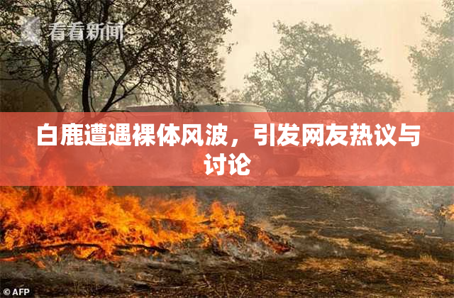 白鹿遭遇裸体风波，引发网友热议与讨论