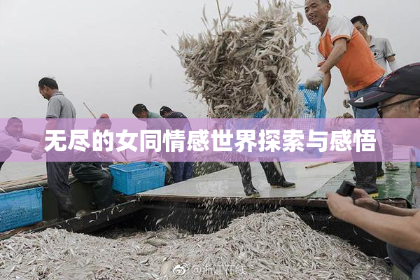 无尽的女同情感世界探索与感悟