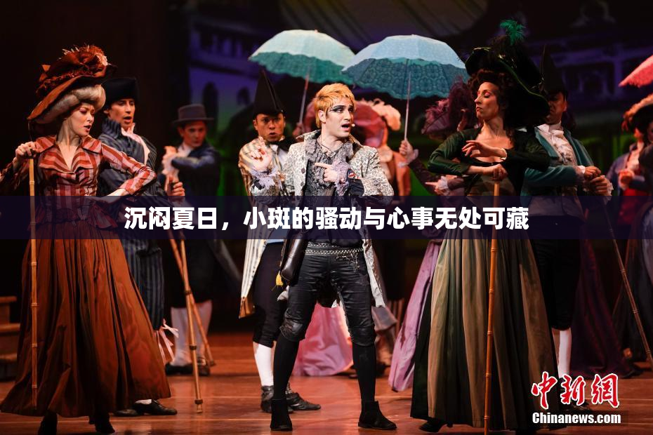 沉闷夏日，小斑的骚动与心事无处可藏