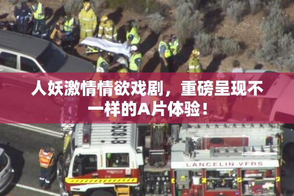 人妖激情情欲戏剧，重磅呈现不一样的A片体验！