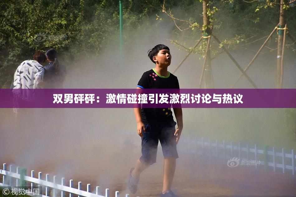 双男砰砰：激情碰撞引发激烈讨论与热议