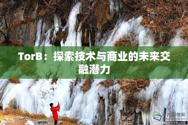 TorB：探索技术与商业的未来交融潜力